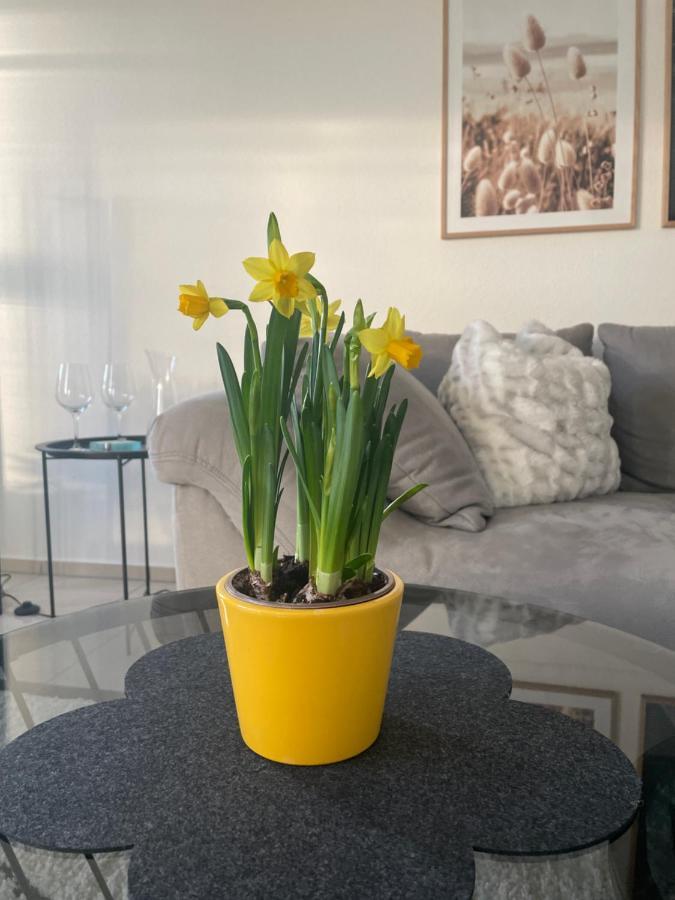 4-Sterne Ferienwohnung Krill Bad Wurzach Exteriér fotografie